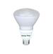 Compact Fluorescent Light Bulb
